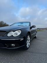 Mercedes-Benz MERCEDES CLK 500 CABRIO AMG BOSE XENON GEP... - Mercedes-Benz CLK 500: AMG
