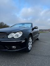 Mercedes-Benz MERCEDES CLK 500 CABRIO AMG BOSE XENON GEP... - Mercedes-Benz CLK 500 aus 2004
