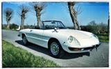 Alfa Romeo Spider