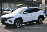 Hyundai TUCSON 1.6 T-GDi HEV 2WD Prime*ASSISTENT PAKET+* - Hyundai TUCSON Neuwagen in Wuppertal