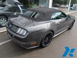 Ford Mustang Convertible GT 5.0 Ti-VCT V8 Automatik - gebrauchte Ford Roadster