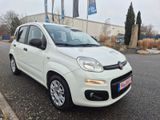 Fiat Panda Easy - Fiat Panda aus 2015