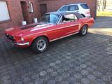 Ford Mustang GT 302 V8. J Code - Ford Mustang: 302