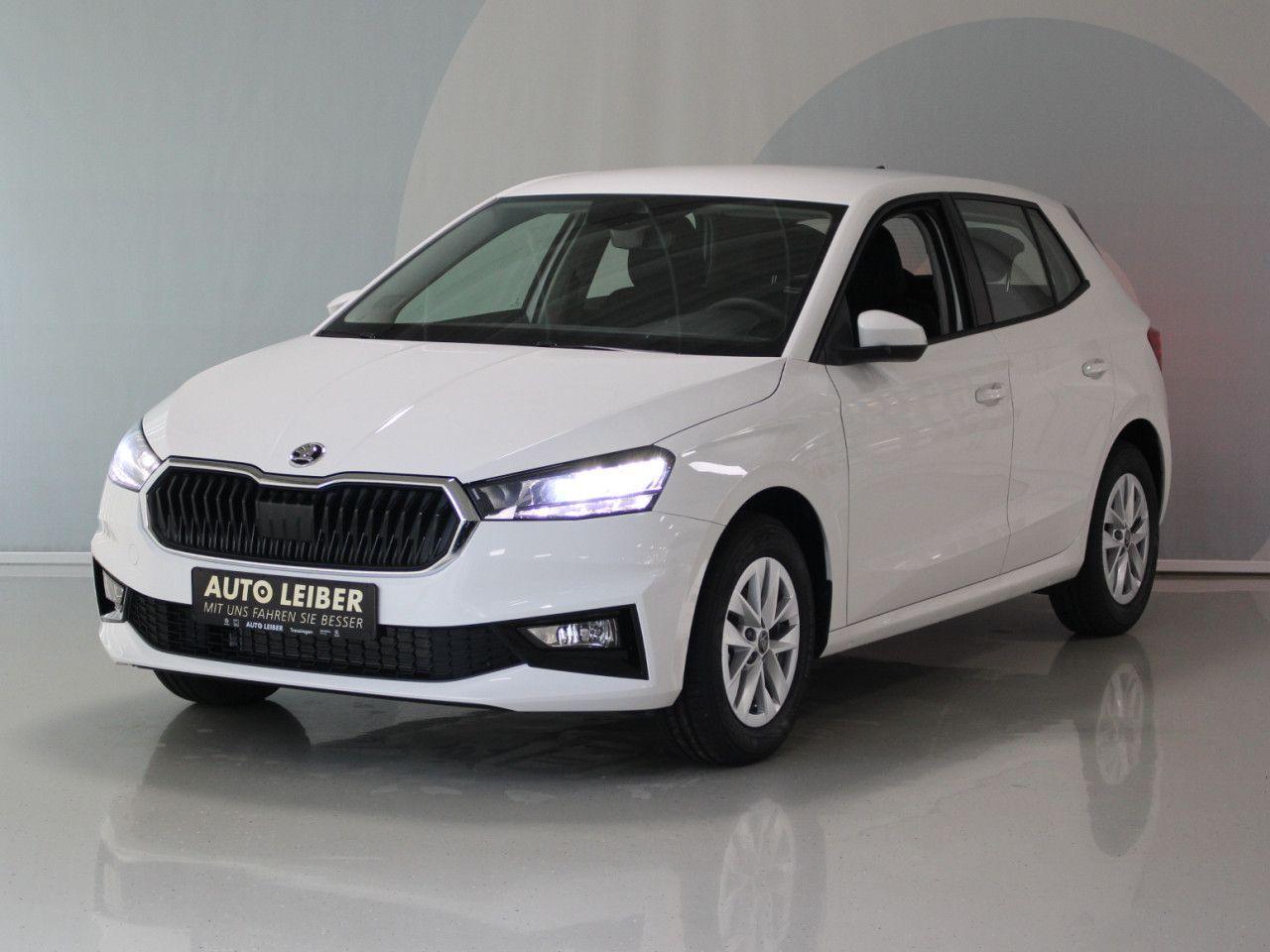 Skoda Fabia 1.0 TSI Selection LED/Shz./Cam