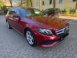 Mercedes-Benz E 220 E 220 d Kombi Facelift Avantgarde - Mercedes-Benz E 220: Rot, Leder