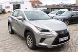 Lexus NX 300H Lückenloser Toyota Service bis 12/2024 - Lexus aus 2019