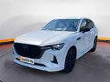 Mazda CX-60 e-Skyactiv D 3.3 Homura*Navi*ACC*BOSE*Pano - Mazda CX-60 Gebrauchtwagen