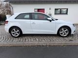 Audi A3 1.6 TDI S tronic Ambition - Audi A3 mit Diesel-Antrieb: Limousine, 1.6