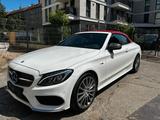 Mercedes-Benz Cabrio C 43 AMG Special Edition Affalterbach HUD - Mercedes-Benz C-Klasse: Special Edition