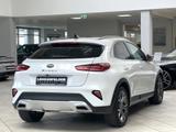 Kia XCeed 1.6 T-GDI Platinum Edition/DAB/PANO/BT - Kia XCeed mit Anhängerkupplung