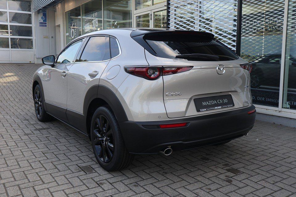 Fahrzeugabbildung Mazda CX-30 2025 M-Hybrid Homura G-140 NAVI ACAA SHZ H