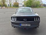 Ford Mustang 5.0 Ti-VCT V8 GT Autom. Fastback TÜV neu - Ford Mustang: Fastback