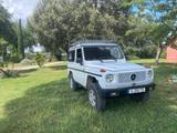 Mercedes-Benz 250 GD kurz (W463) | Turbodiesel   - Mercedes-Benz Diesel Gebrauchtwagen aus dem Jahr 1991