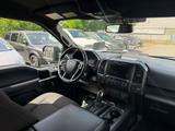 Ford F 150 - V8 5.0, Sport, Crew Cab - Ford F 150 Gebrauchtwagen