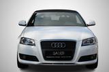Audi A3 Cabriolet S line Plus Xenon AUDI Scheckheft - Audi A3 aus 2008