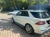 Mercedes-Benz ML 500 4MATIC - - gebrauchte Mercedes-Benz ML 500 aus dem Jahr 2014