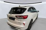 Ford Kuga Hybrid ST-Line X *Pano*LED*Sportp*PDC - Ford: Taxi