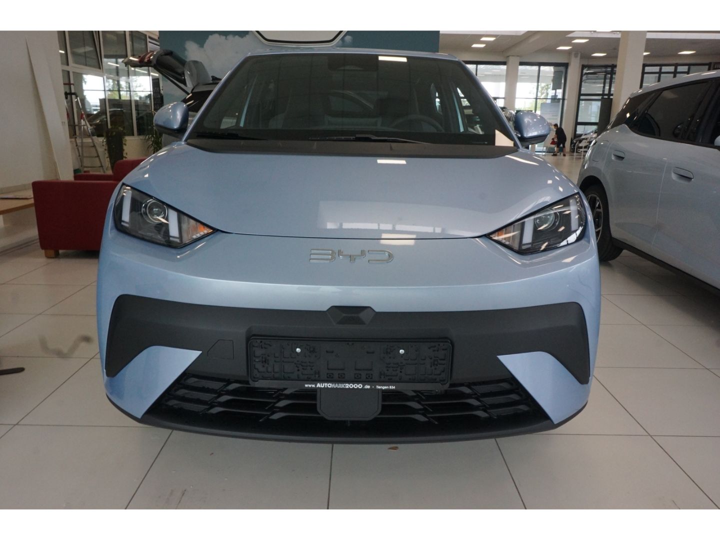 BYD DOLPHIN SURF