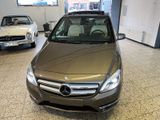 Mercedes-Benz B 220 4Ma SPORTPAKET AUT/LEDER/PTS/SHZ/PSD/TW/XE - mit Benzin-Antrieb: Allradantrieb, Kleinwagen