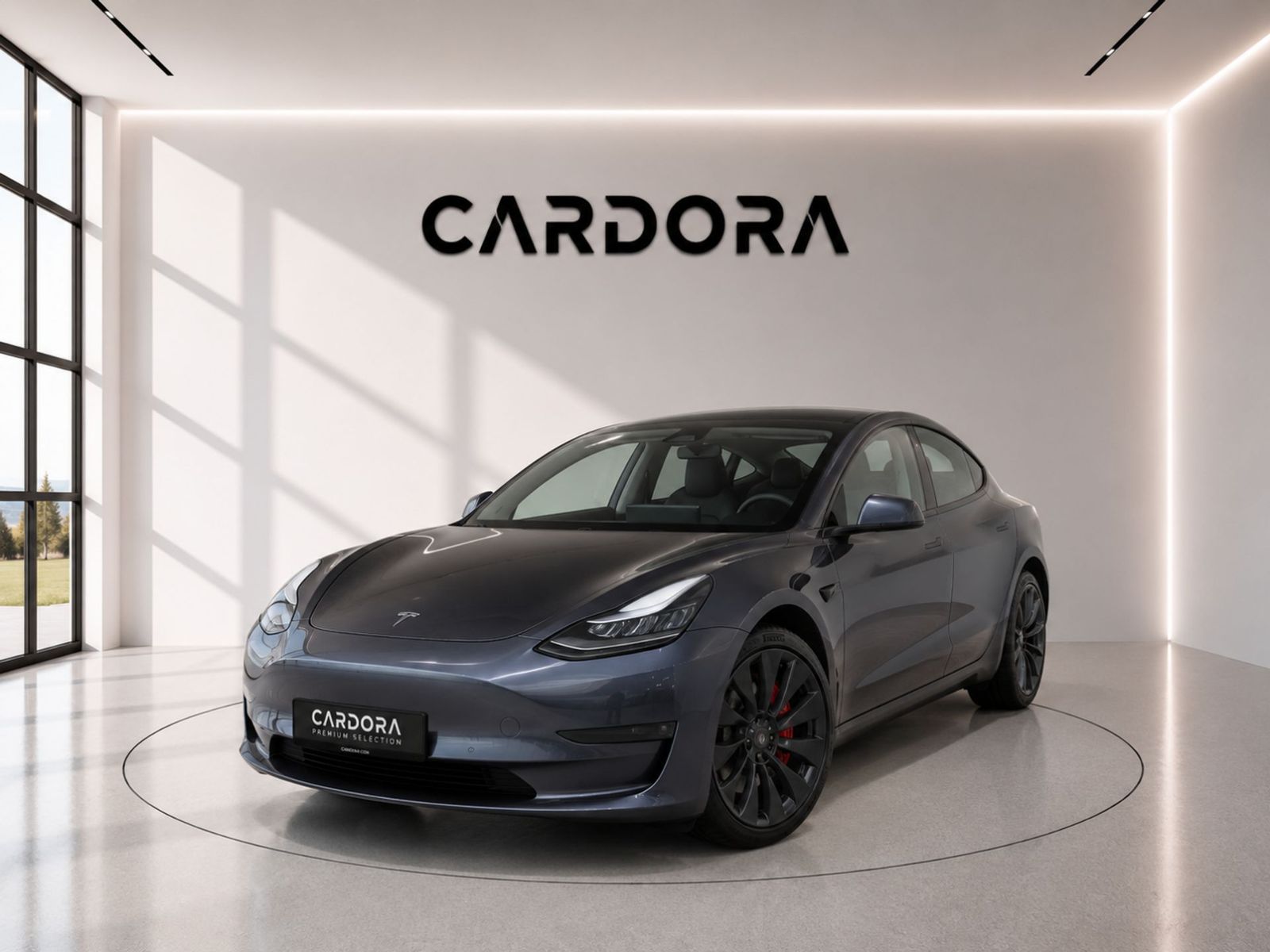 TESLA Model 3 Performance Dual 82 kWh AWD Wärmepump