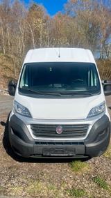 Fiat Ducato Pharma Transporter | GDP-Kühlu... - Fiat: Transporter