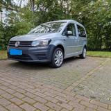 Volkswagen Caddy 2,0TDI 75kW BMT DSG Alltrack 5-Sitzer ... - Volkswagen Caddy Alltrack mit Diesel-Antrieb