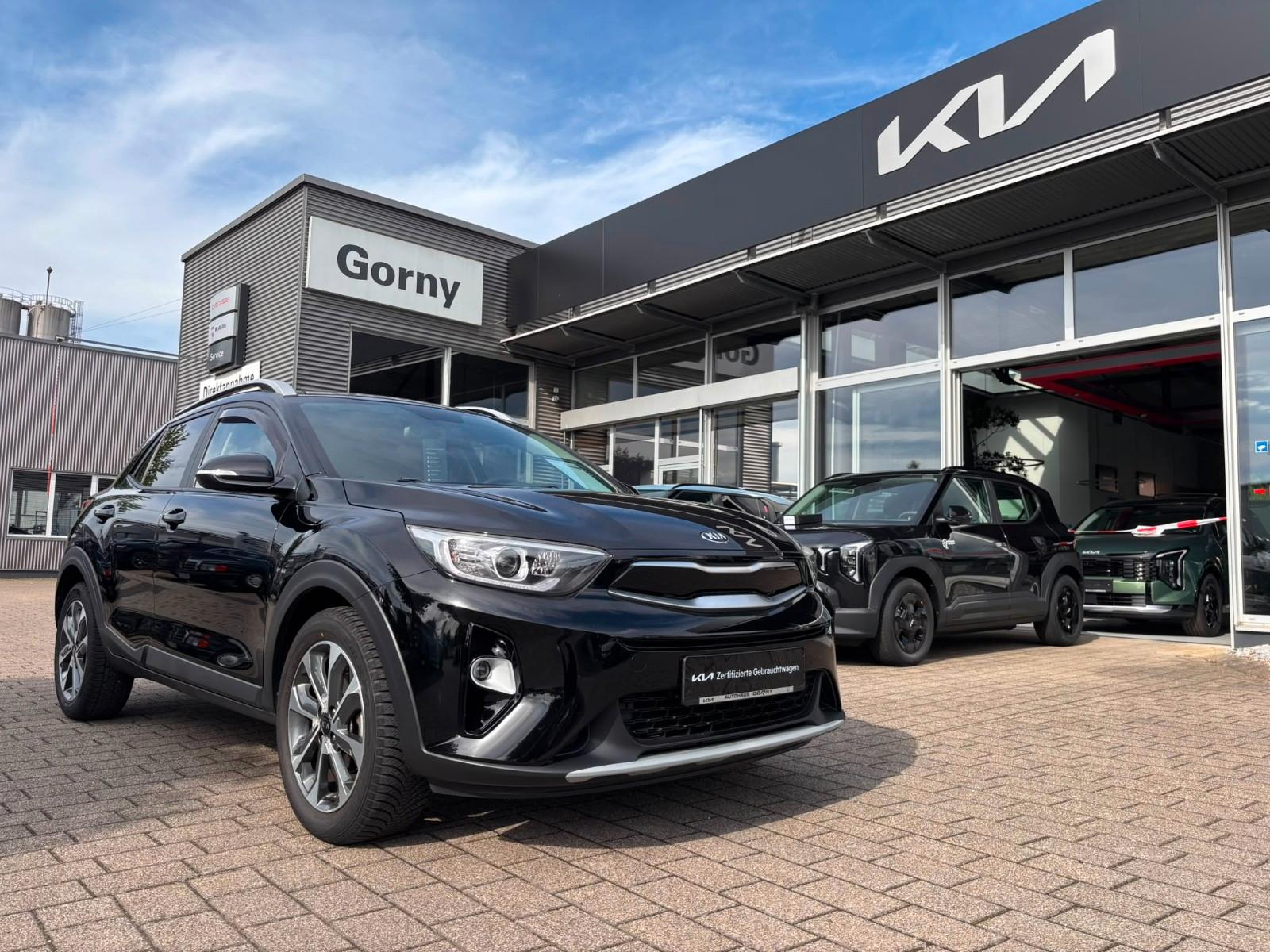 Kia STONIC 1.4 99 PS VISION*5 SITZE*KAMERA*DAB+*