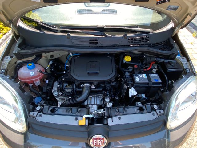 FIAT Panda Sport