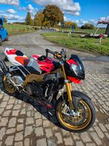 Aprilia RSV 1000 Tuono / Factory - APRILIA RS