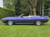 Dodge Challenger 340 autom Convertible A66 - Dodge Gebrauchtwagen von 1970