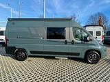 Carado CV 601 PRO | MARKISE | NAVI | RÜCKFAHRKAMERA - Carado Neu