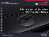 Toyota Hybrid 4x2 Team Deutschland - Toyota RAV 4 Team-Deutschland
