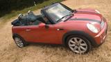 MINI Mini Cooper Cabrio R52 guter Zustand 116 P... - MINI: R52