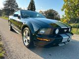 Ford Mustang GT*Cabrio*V8*Automatik*SHZ*Leder*Klima* - Ford Mustang aus 2006: Cabrio
