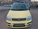 Fiat Panda 1.2 8V Dynamic Automatik+Panorama+Klima - Fiat Panda mit Panoramadach