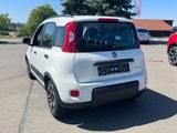 Fiat Panda 1.0 Hybrid City Life - Fiat Panda in Chemnitz