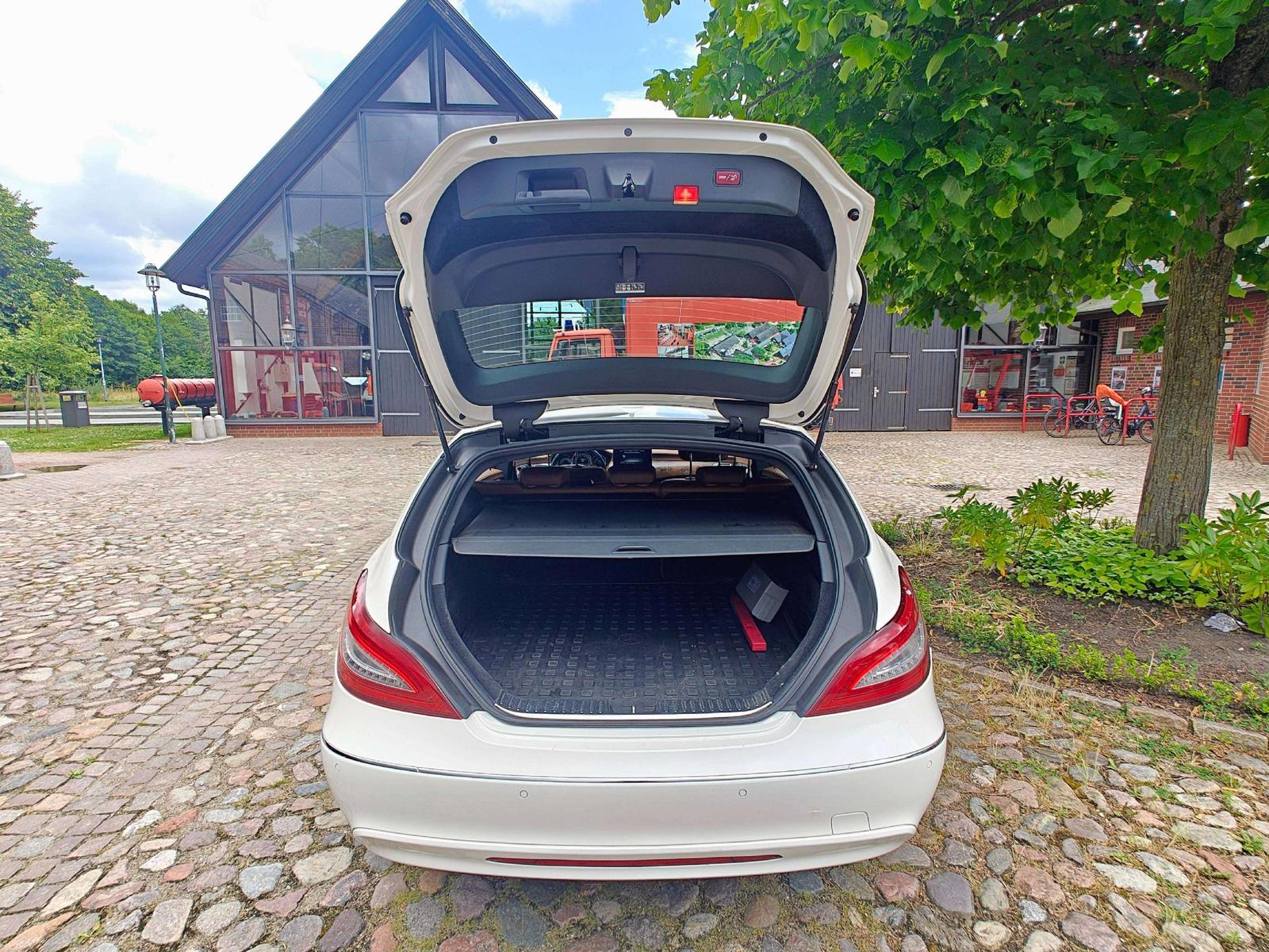 Mercedes-Benz CLS 250 CLS 250 CDI BlueTec MultiBeam /