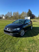 Volkswagen Golf 1.5 TSI DSG Highline Var. digital 8-fachTÜV - Volkswagen Golf: 8.1