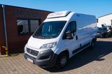 Fiat Ducato 35 130 L2H2 RS: 3450 mm TIEFKÜHLER - Fiat Ducato l1h2