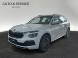 Skoda Kamiq Tour 1,0 TSI 85 kW 6-Gang *AHK*MATRIX-LED* - Skoda Kamiq Tageszulassungen