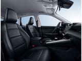 MG ZS Comfort*360°*DAB*CarPlay*SitzHZ*Kunstleder*LE - : Kunstleder