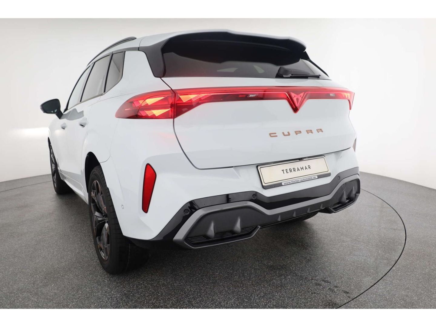 Cupra Terramar - Bild 26