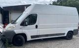 Fiat Transporter Fiat Ducato LKW TÜV 03.2027 - Fiat: Transporter