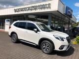 Subaru Forester 2,0ie Comfort - Subaru in Bielefeld