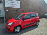 Fiat Panda 1.2 Easy | 1.Hand | Zahnriemen gewechselt - Fiat Panda Gebrauchtwagen in Bielefeld