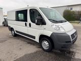 Fiat Ducato Kasten 30 115 L2H1*AHK orig.nur 44000KM - Fiat Ducato aus 2011: Van