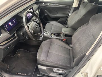 Skoda Octavia - 4