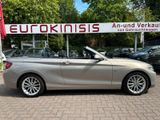 BMW 218i Cabrio Luxury Line*LEDER*BI-XENON*NAVI*PDC* - : Cabrio, Luxury