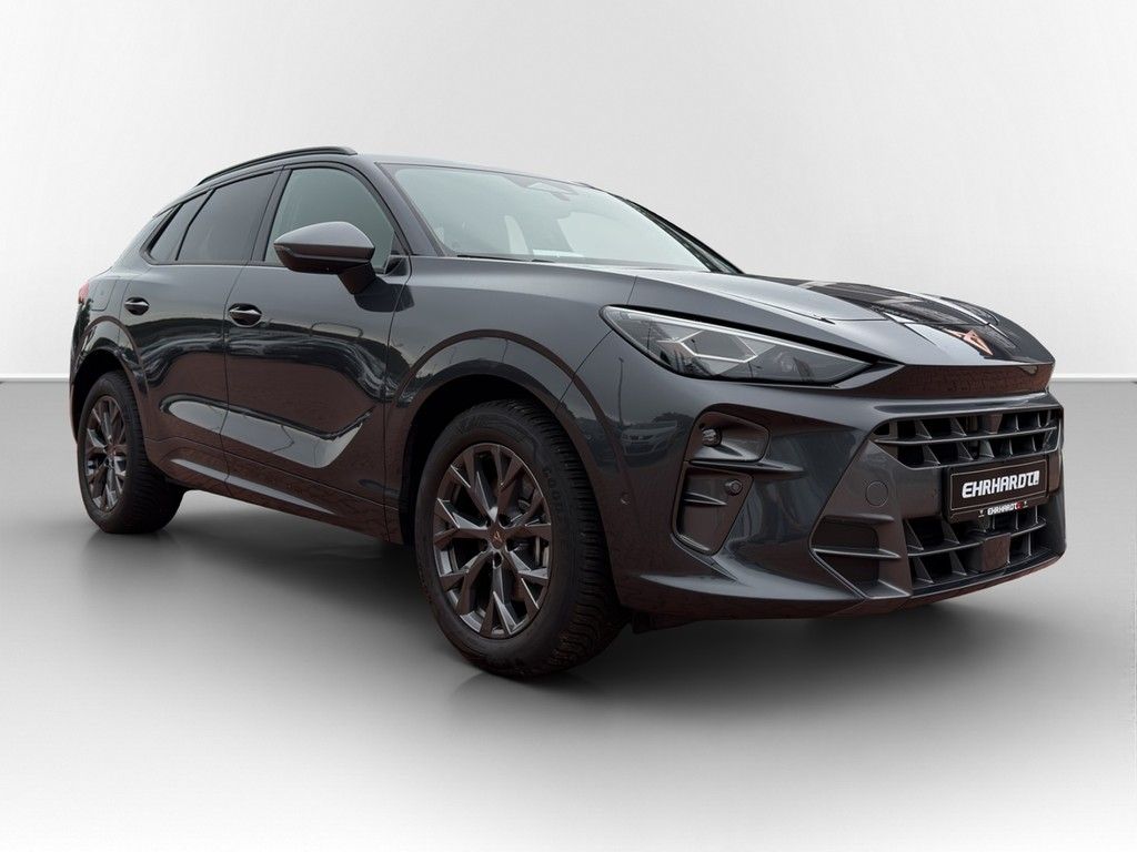 Cupra Terramar - Bild 3