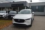 Mazda CX-5 SKYACTIV Benzin 6AG 194PS Advantage Navi - Mazda CX-5 in Nürnberg